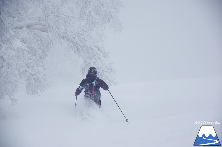 キロロリゾート 児玉毅の『雪山の達人』に密着！